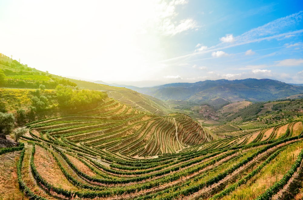 Douro Valley Porto