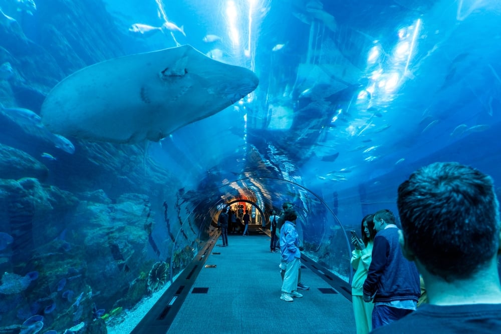 Dubai Aquarium