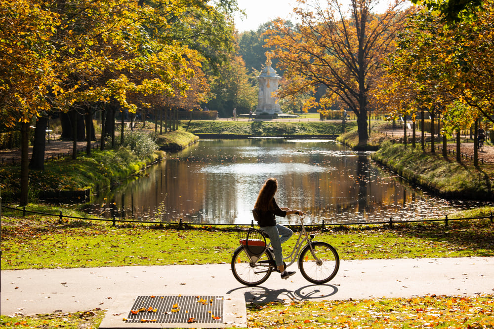 Berlin Central Park Tiergarten