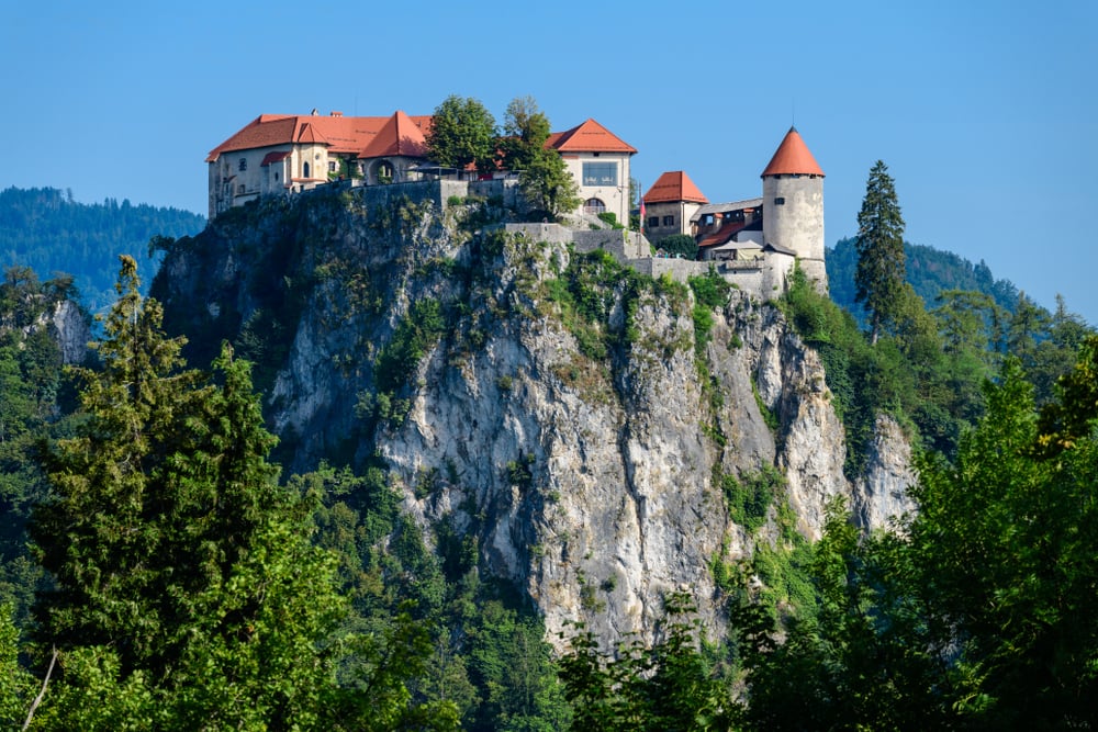 Bled Castle Panorama