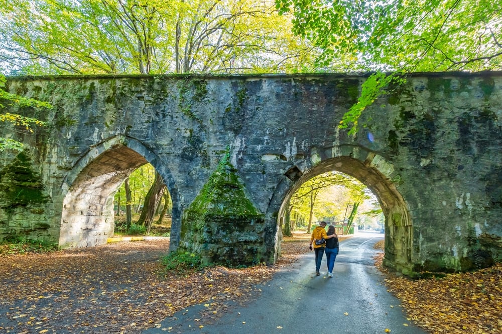 Istanbul Belgrad Forest