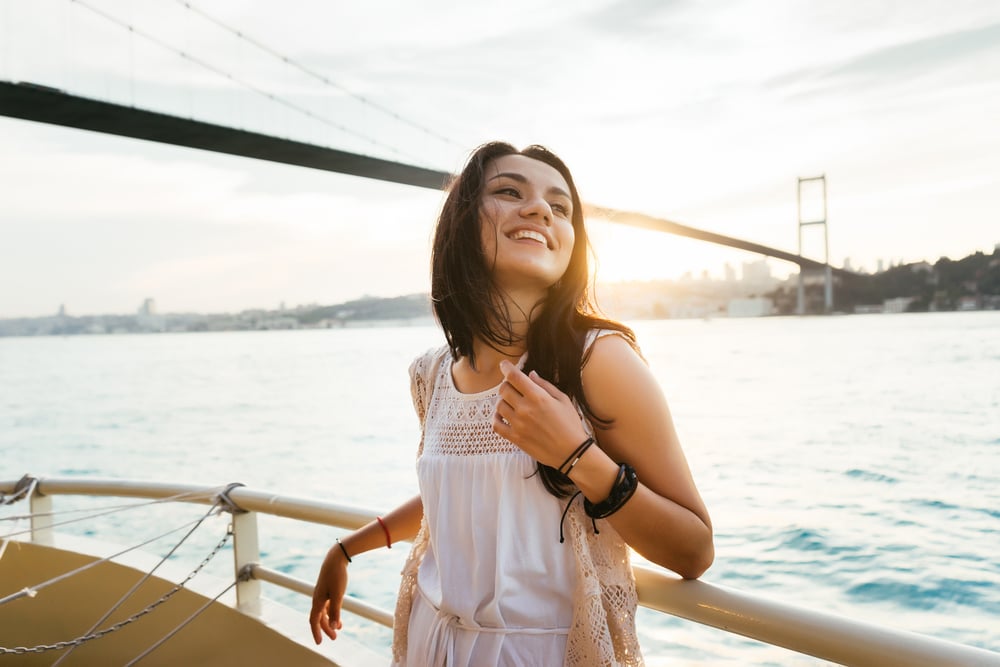 Istanbul Bosphorus Cruise Under Bridge