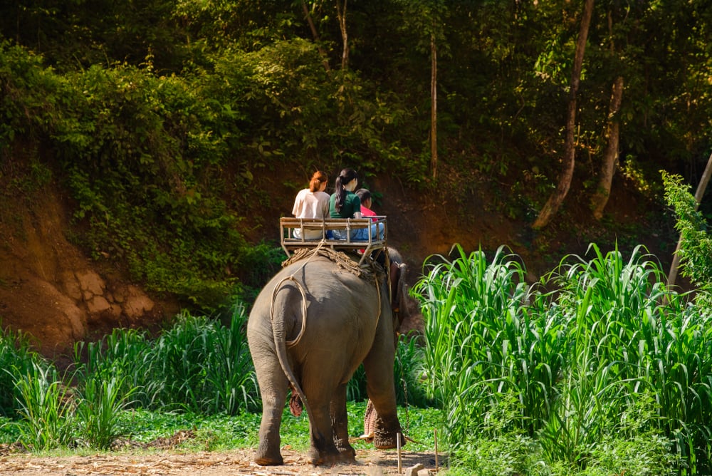 Shutterstock 1257146524