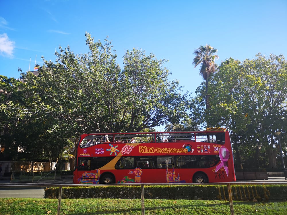 Shutterstock 1382239295