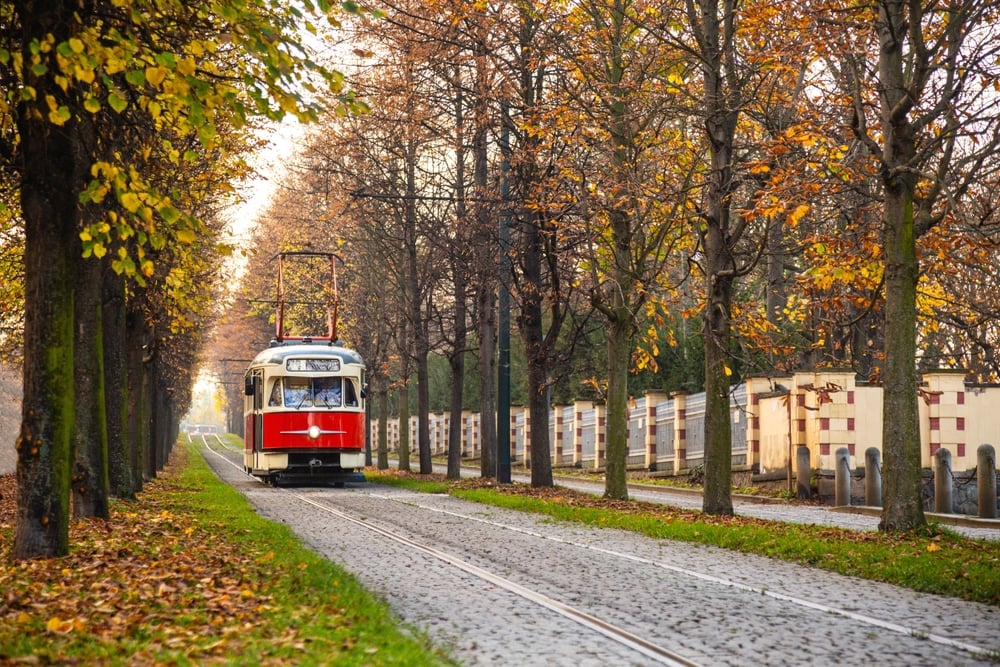 Shutterstock 2225957219 1