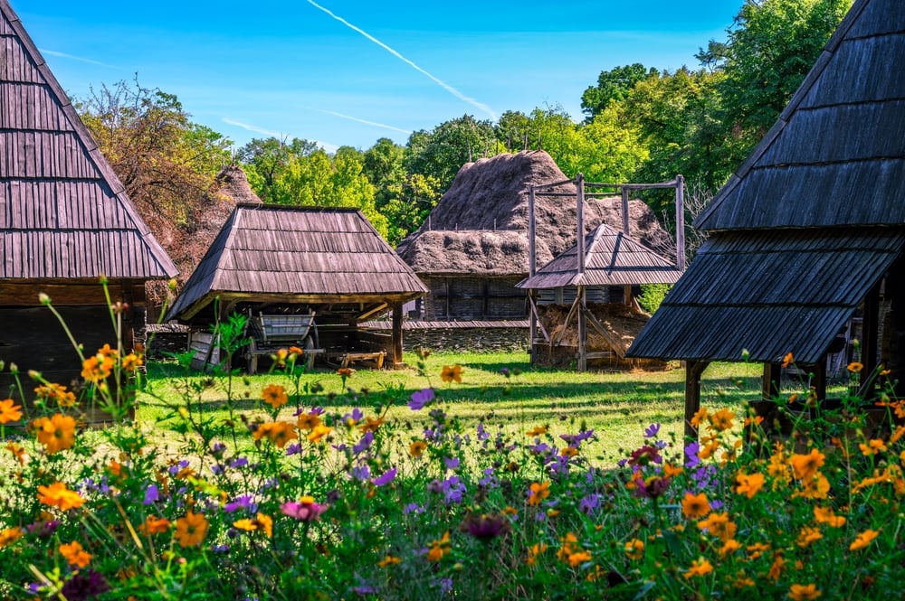Shutterstock 2299579149