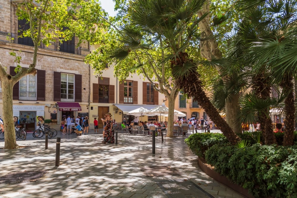 Shutterstock 2355667425