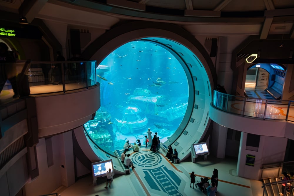 Shutterstock 2465652877