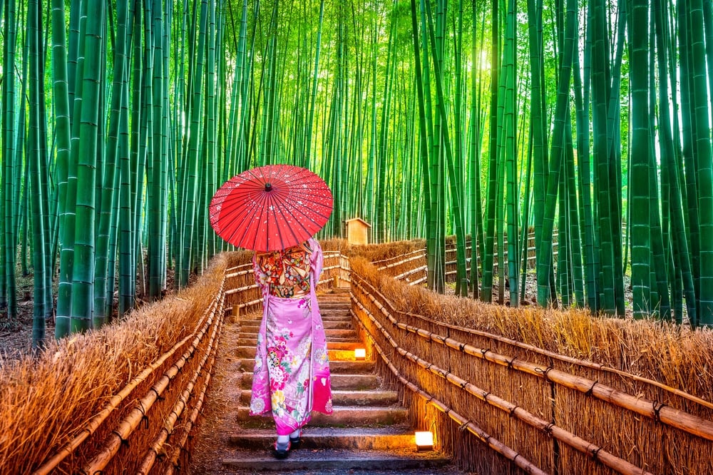 Shutterstock 2469909509