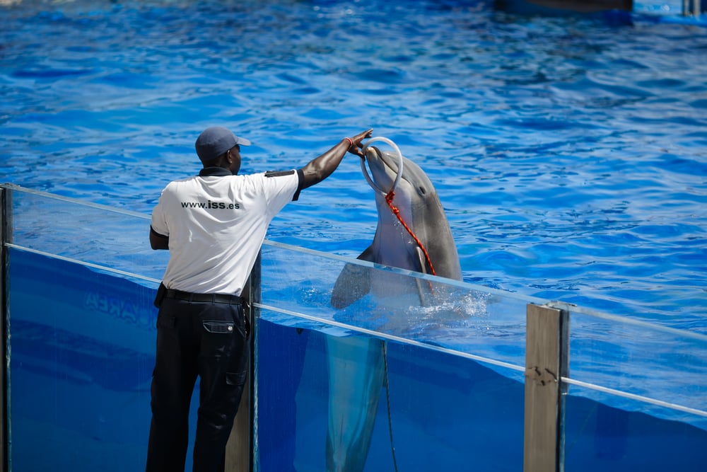 Shutterstock 250600837