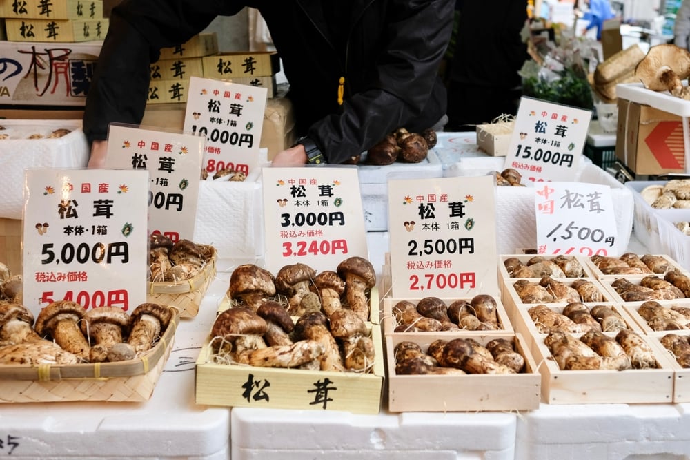 Shutterstock 2543588149