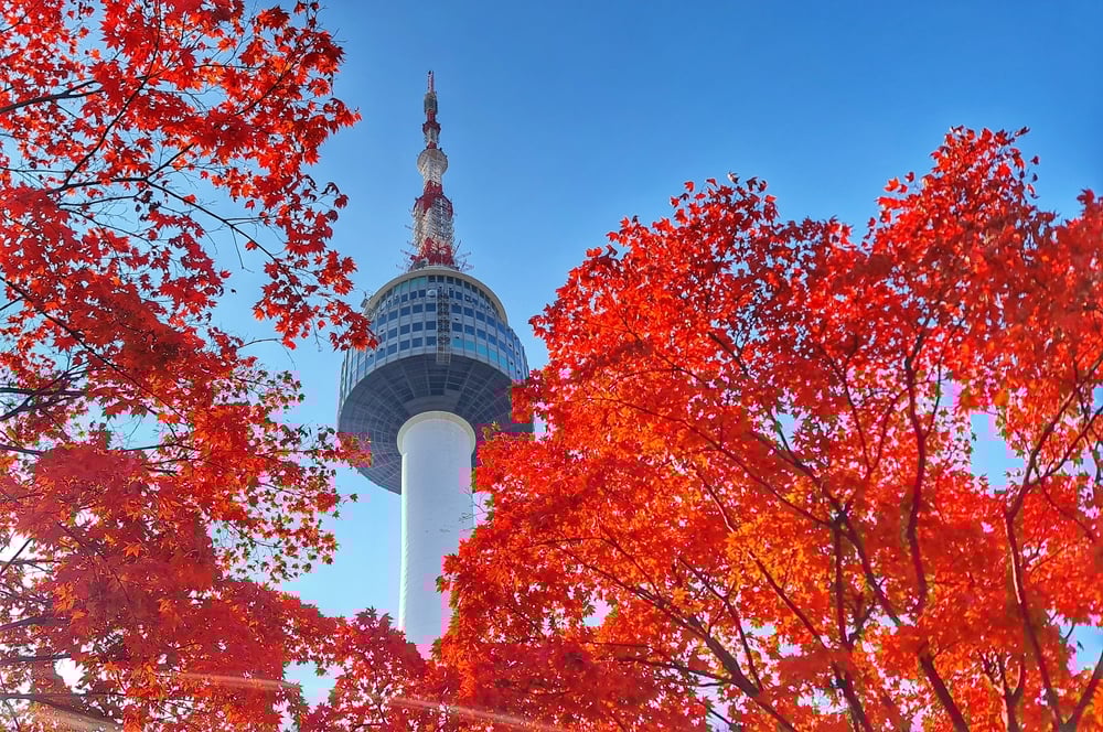 Shutterstock 2615323091