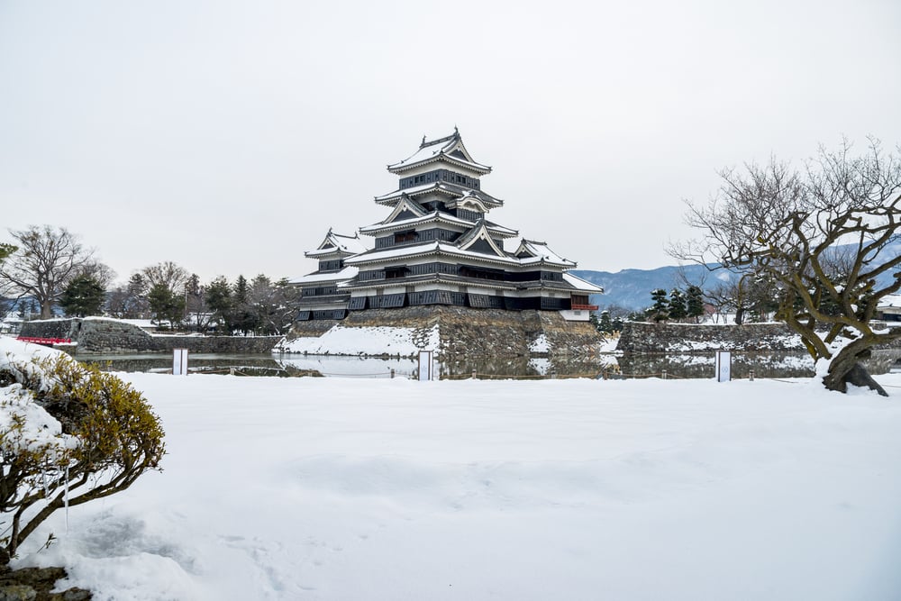 Shutterstock 602990387