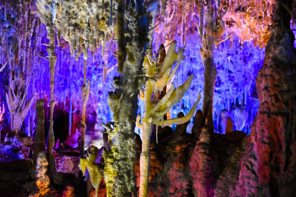 Shutterstock 723672097