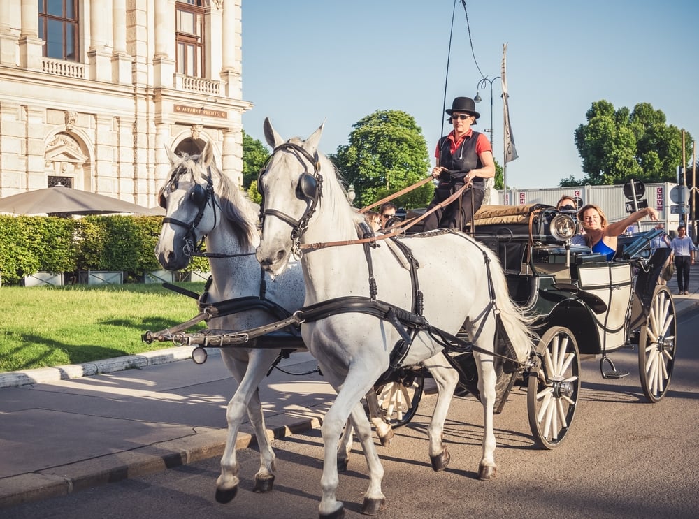 Vienna Romantic Horse Drawn Carriage Rides