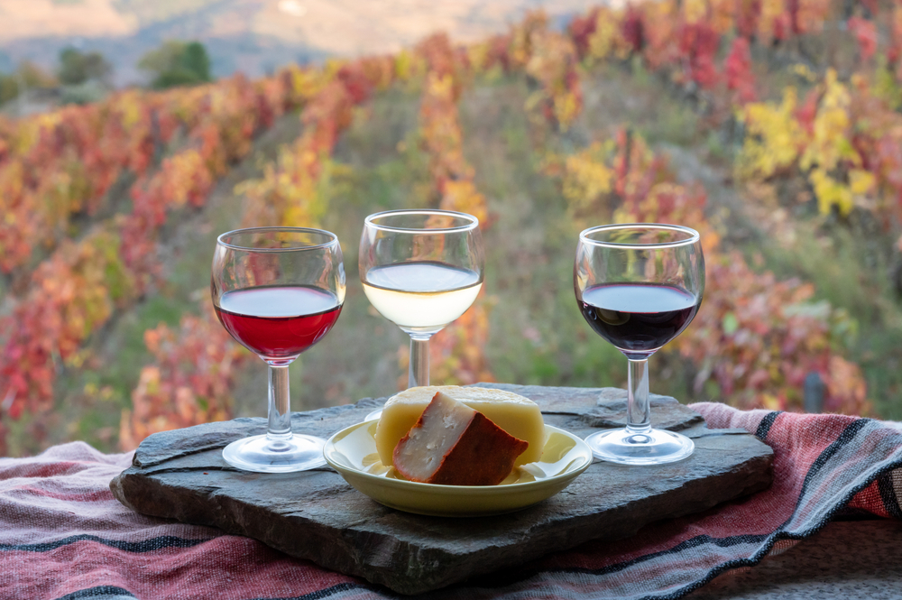 Wine Tasting Tours in Porto: The Best Porto Wine Cellar Visits