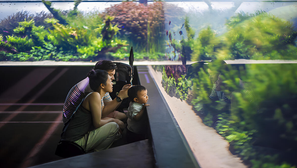 Oceanário de Lisboa Tickets