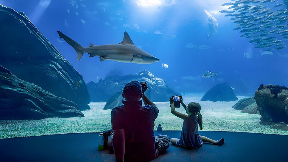 Oceanário de Lisboa Tickets