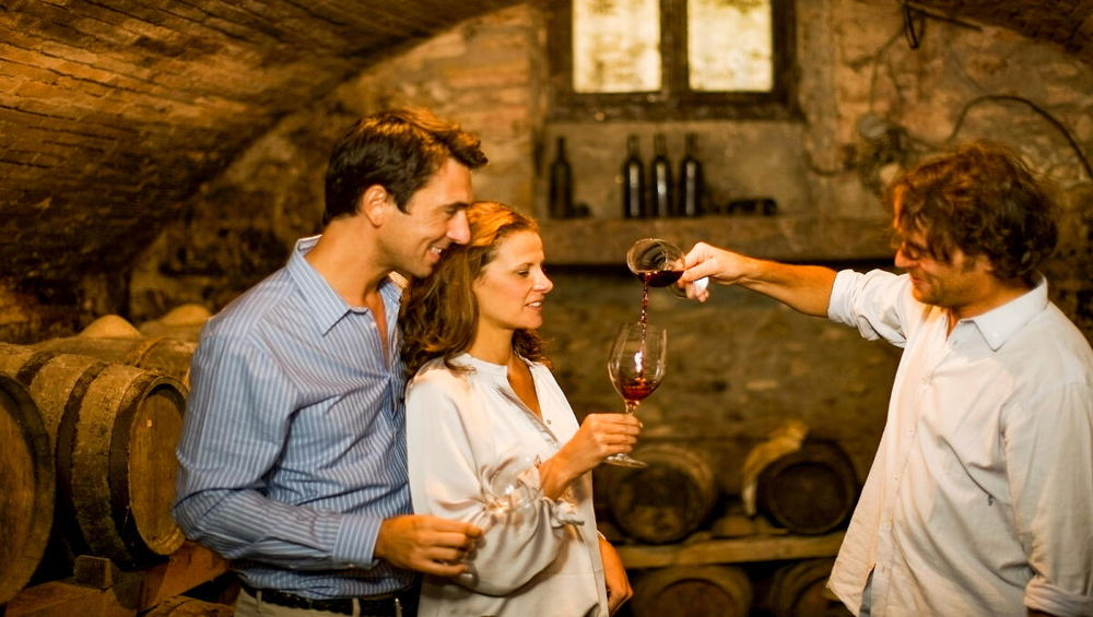 Cálem Cellars Guided Tour with Tasting Experience