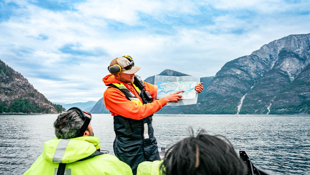 From Husavik: Whale Watching Tours