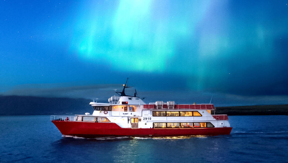 From Reykjavik: Northern Lights Sightseeing Cruise
