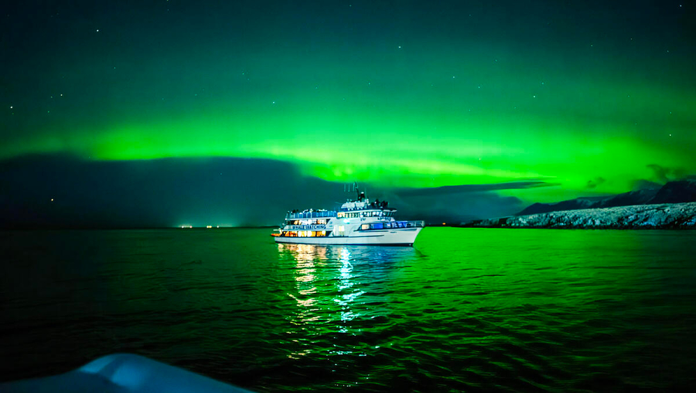 From Reykjavik: Northern Lights Sightseeing Cruise