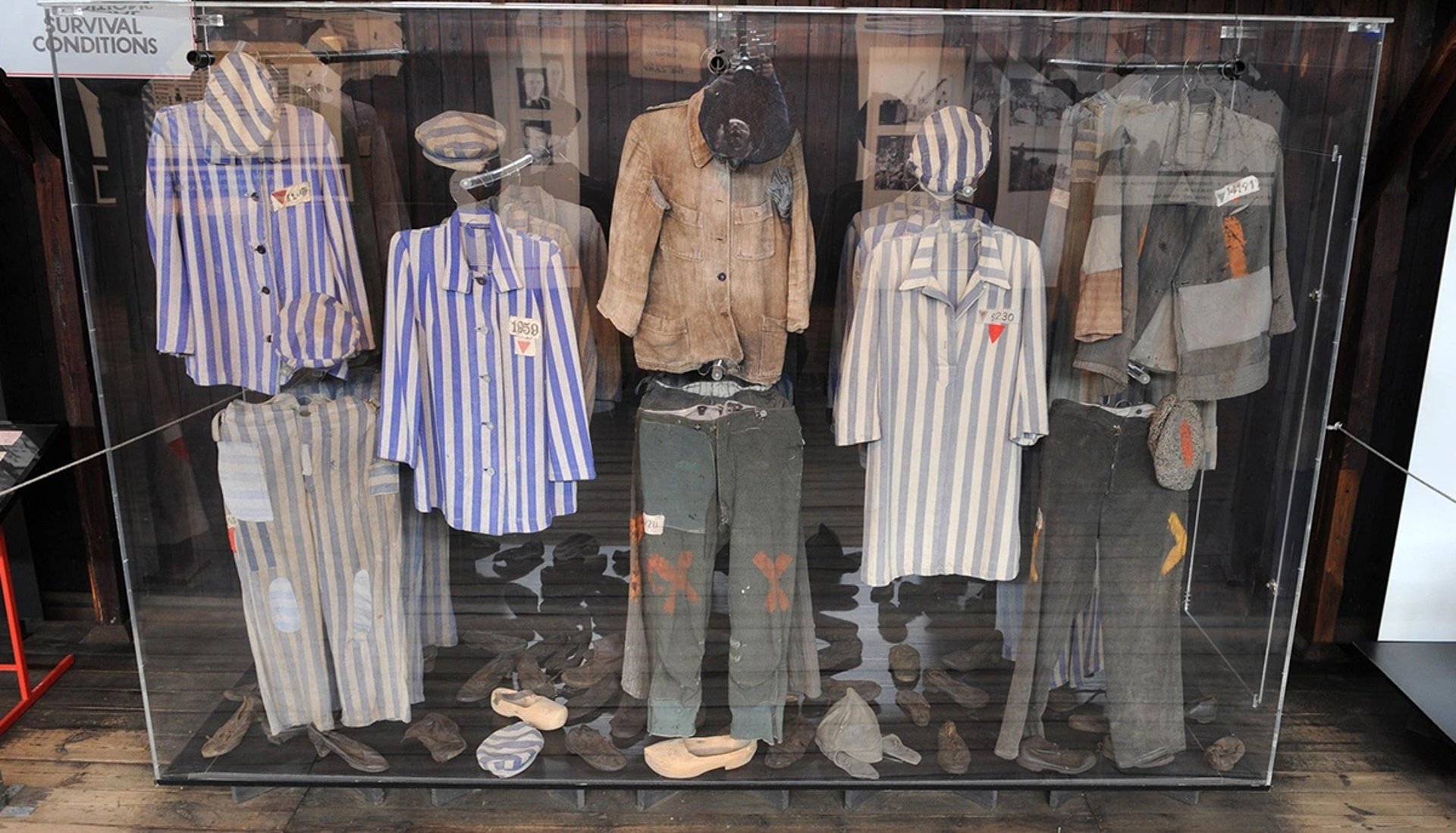 Auschwitz Birkenau Museum Opening Hours