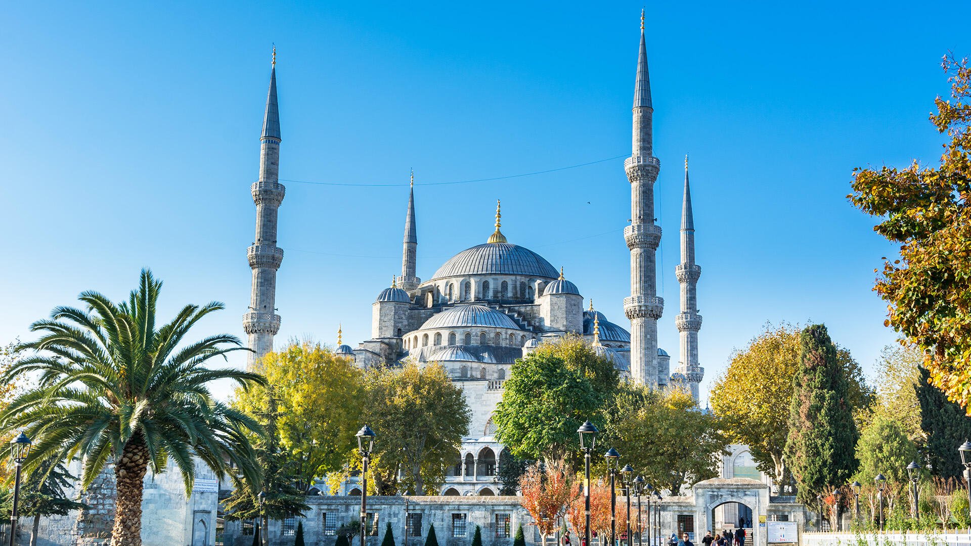 Compare Your Blue Mosque Ticket Options