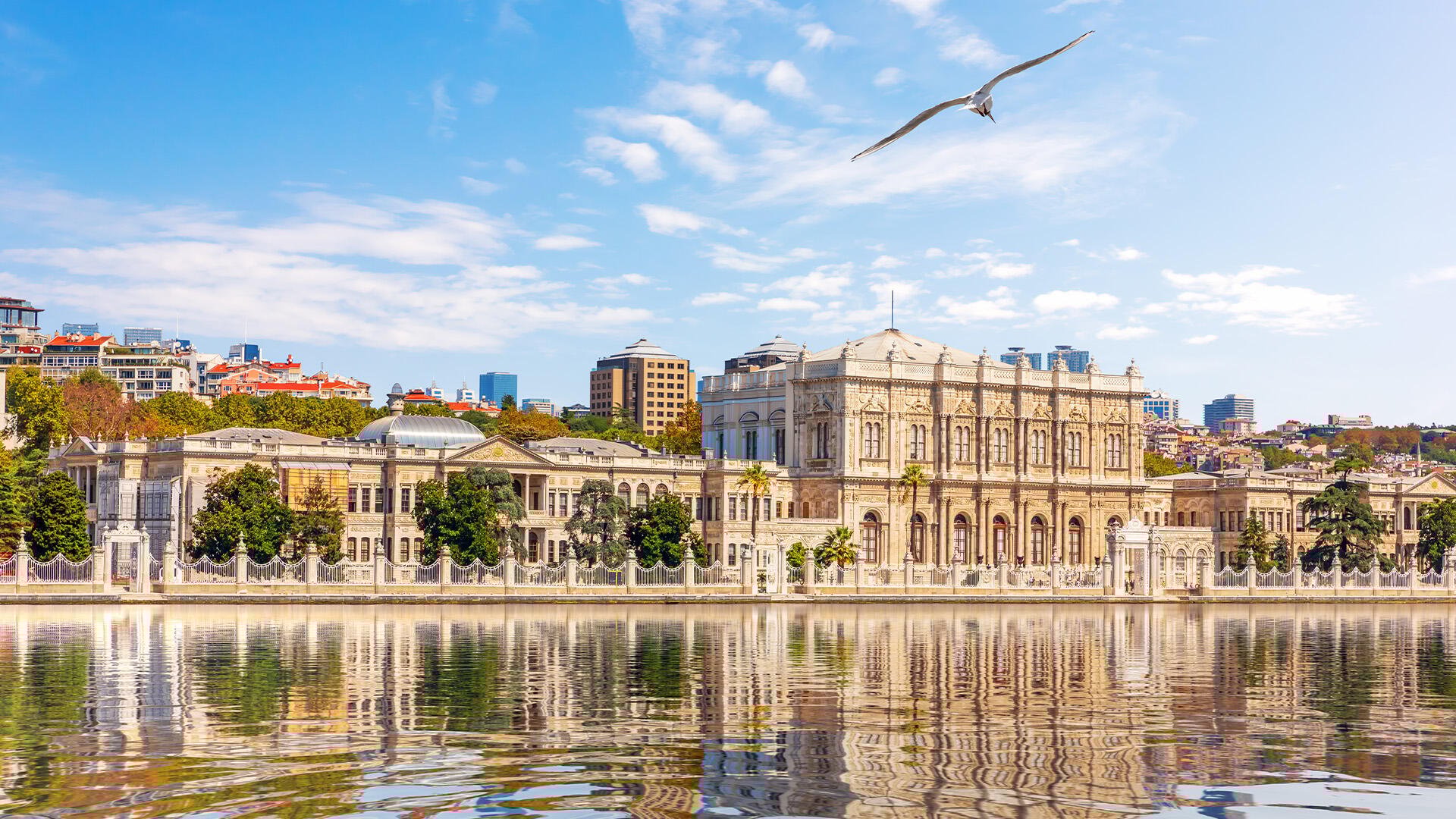 Explore Dolmabahce Palace