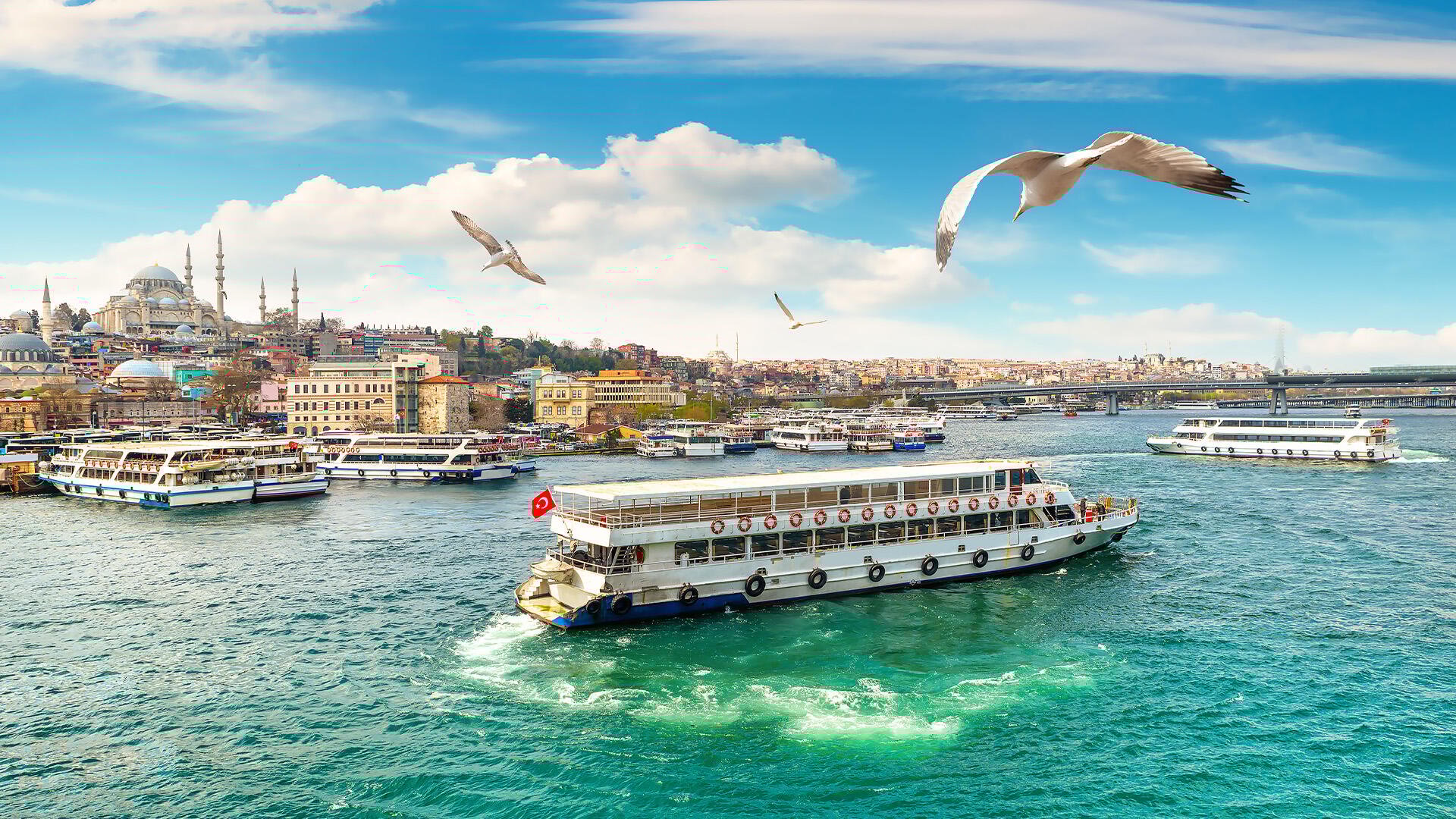 Bosphorus Cruise Highlights