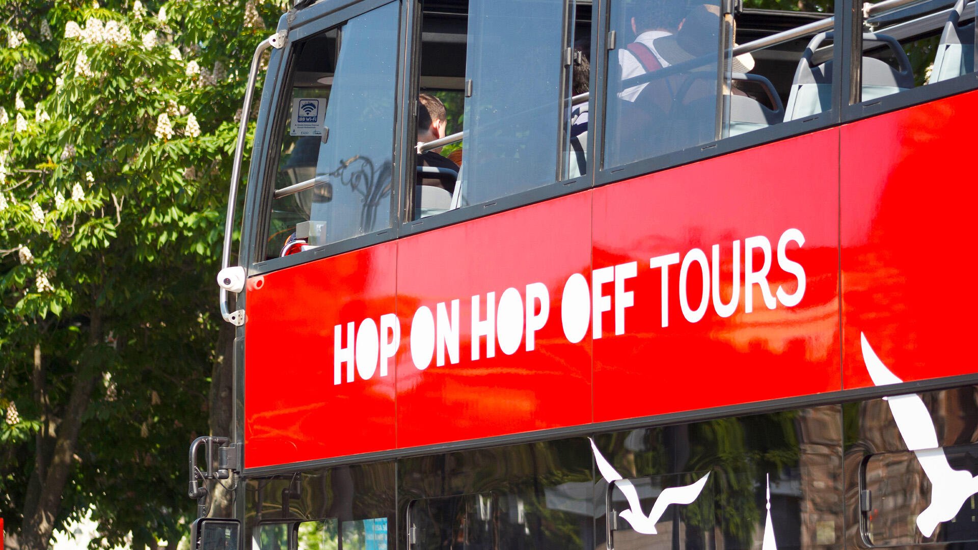 Hop-On Hop-Off Istanbul Highlights