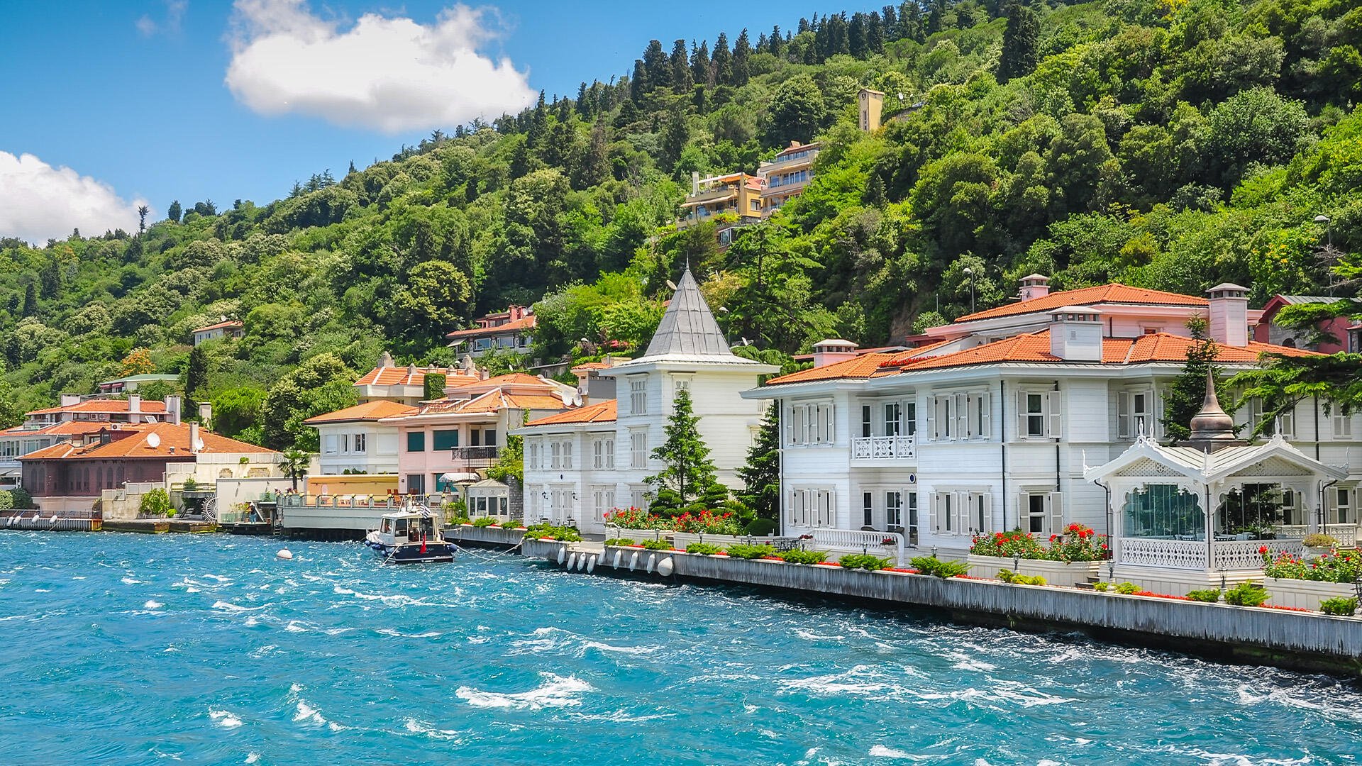 Explore Princes' Island