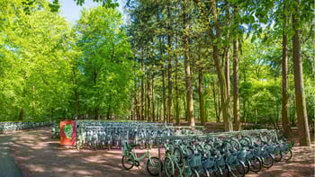 Amsterdam: Discover De Hoge Veluwe National Park: Nature, Art, and Adventure