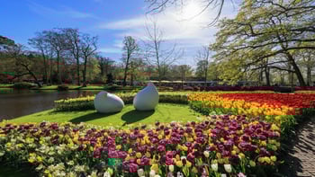 Keukenhof Gardens: Entry Ticket