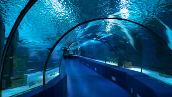 Antalya Aquarium Entrance Ticket with Hotel Transfer