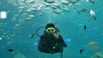 Kemer Scuba Diving with Lunch and Hotel Transfer
