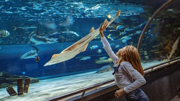 Barcelona Aquarium Skip-the-Line Tickets