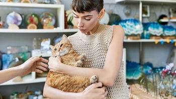 Budapest: Cat Museum Entry Ticket