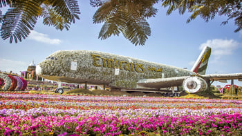 Dubai Miracle Garden Skip-the-Line Tickets