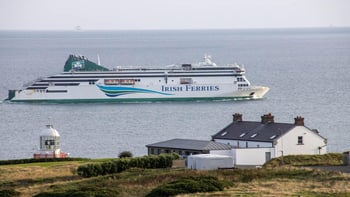 Howth Coastal Boat Tour