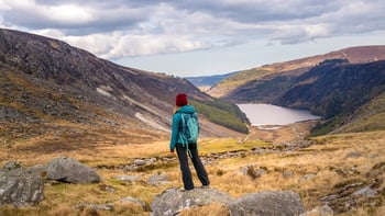 From Dublin: Glendalough, Wicklow & Kilkenny with Sheepdog Trails
