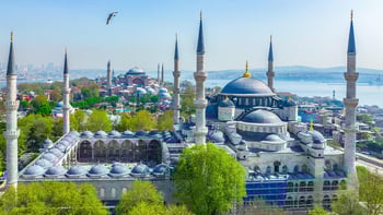 Blue Mosque Tour & Bosphorus Cruise