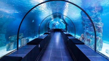 Istanbul Aquarium Ticket and Transfer
