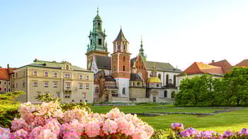 Wawel Castle & Cathedral Guided Tour
