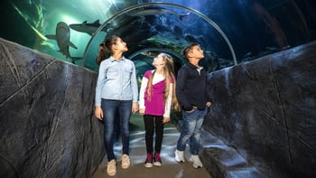 SEA LIFE Munich Ticket