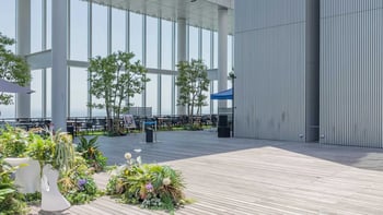 Harukas 300 Observatory Entry Ticket