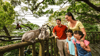 Singapore Zoo Tickets with Tram Ride
