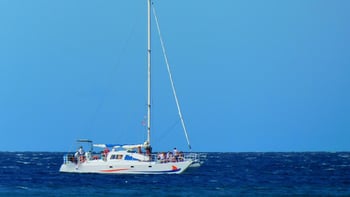 Valencia: Catamaran Cruise with Swim Stop