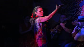 Flamenco Show