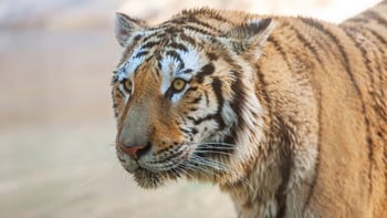 Terra Natura Benidorm: Skip-the-Line  Ticket